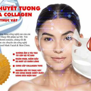 MẶT NẠ TẾ BÀO MÁU DNA