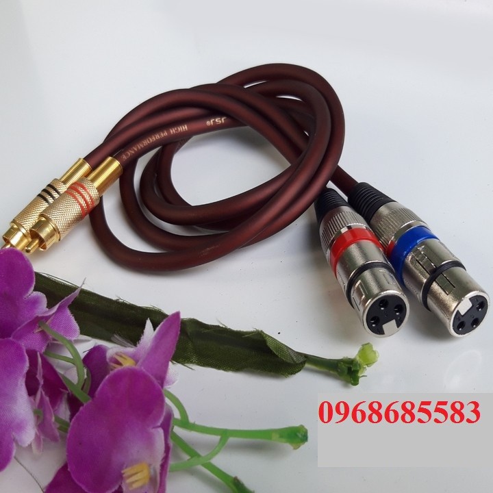 Dây kết nối âm thanh canon cái sang AV hoa sen 2dây