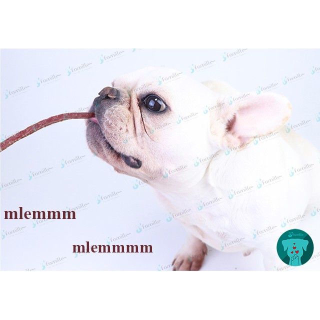 [THƠM NGON BỔ DƯỠNG]Đồ Ăn Vặt Cho Thú Cưng JFamille, Que Gà Cá Ngừ, Snack Dinh Dưỡng, Túi 100Gr. JF14