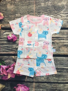 Sét 4b cotton giấy