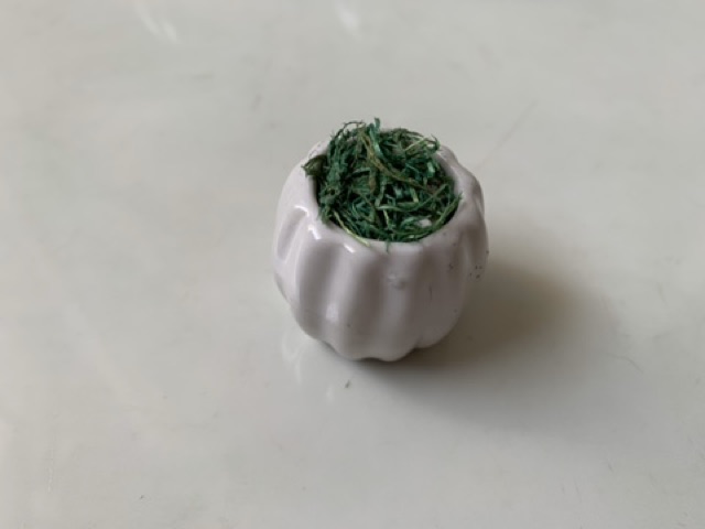 Chậu hoa sứ mini