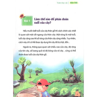 Thư Viện Tri Thức Dành Cho Học Sinh (Bộ 4 Cuốn)