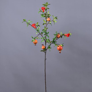 Cành lựu chưng Tết