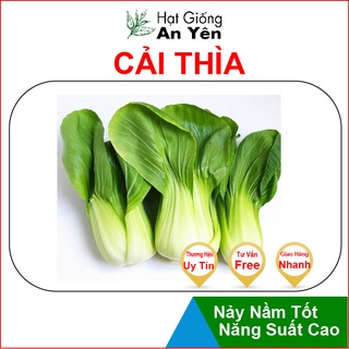 Hạt giống Cải Thìa ,Cải Chip,  thu hoạch sớm, dễ trồng, nảy mầm cao, sinh trưởng khoẻ