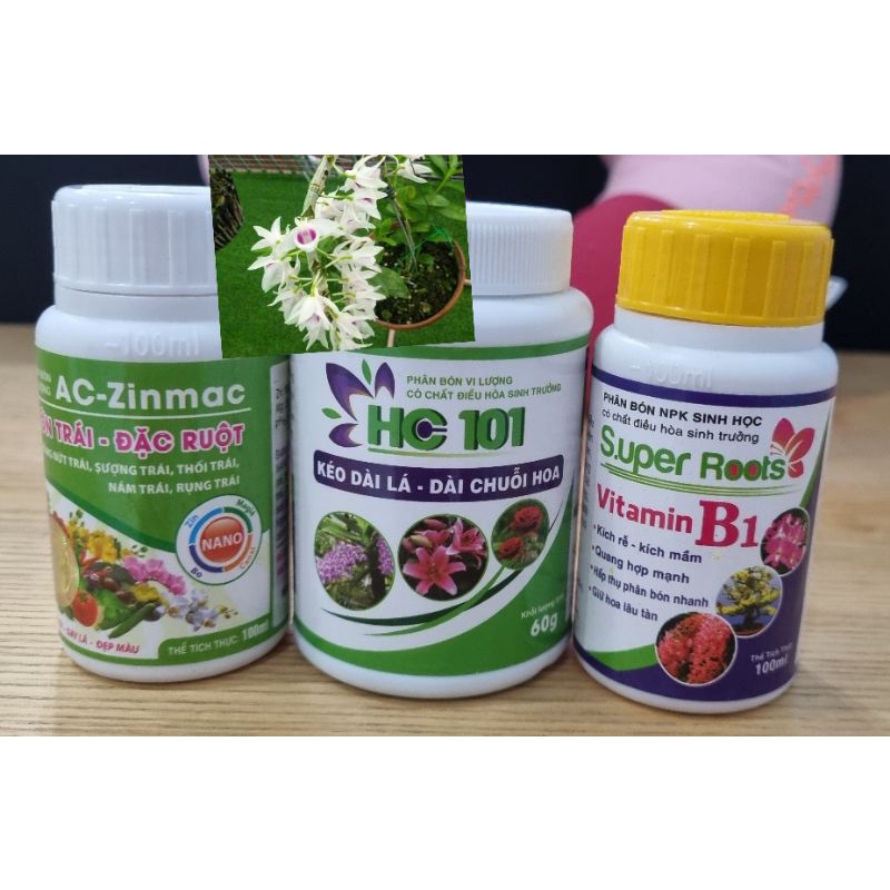 Combo làm dài cuống hoa, giúp hoa to, lâu tàn