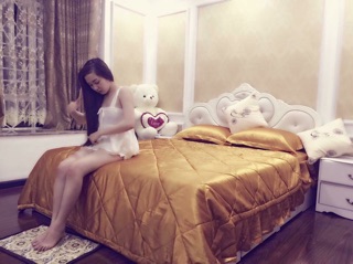 Trọn bộ chăn ga gối phi lụa Thái Tuấn