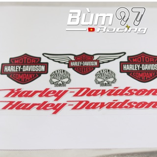 Vỉ tem Haleydavidsion Phản quang