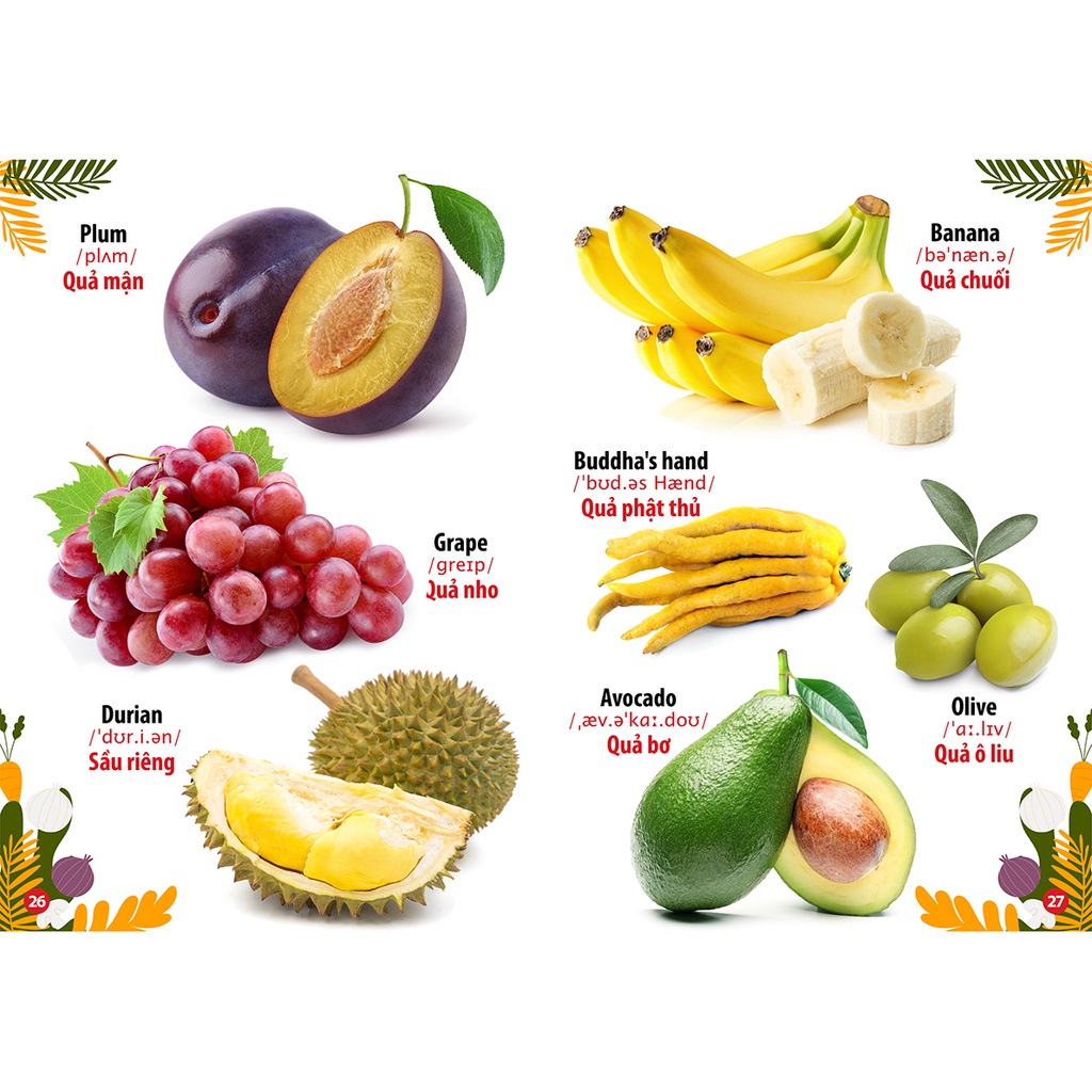 Sách - Trọn Bộ Thư Viện Hình Ảnh Song Ngữ Đầu Tiên Của Bé