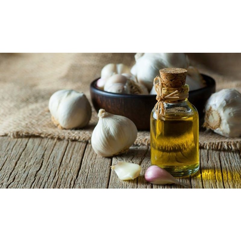 Tình dầu tỏi ( khách sỉ)