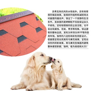Nệm cho chó sofa cho mèo wCkH
