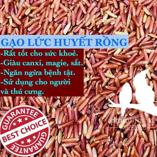 GẠO LỨC HUYẾT RỒNG - GIÁ TRỊ DINH DƯỠNG CAO (TÚI 1000G)