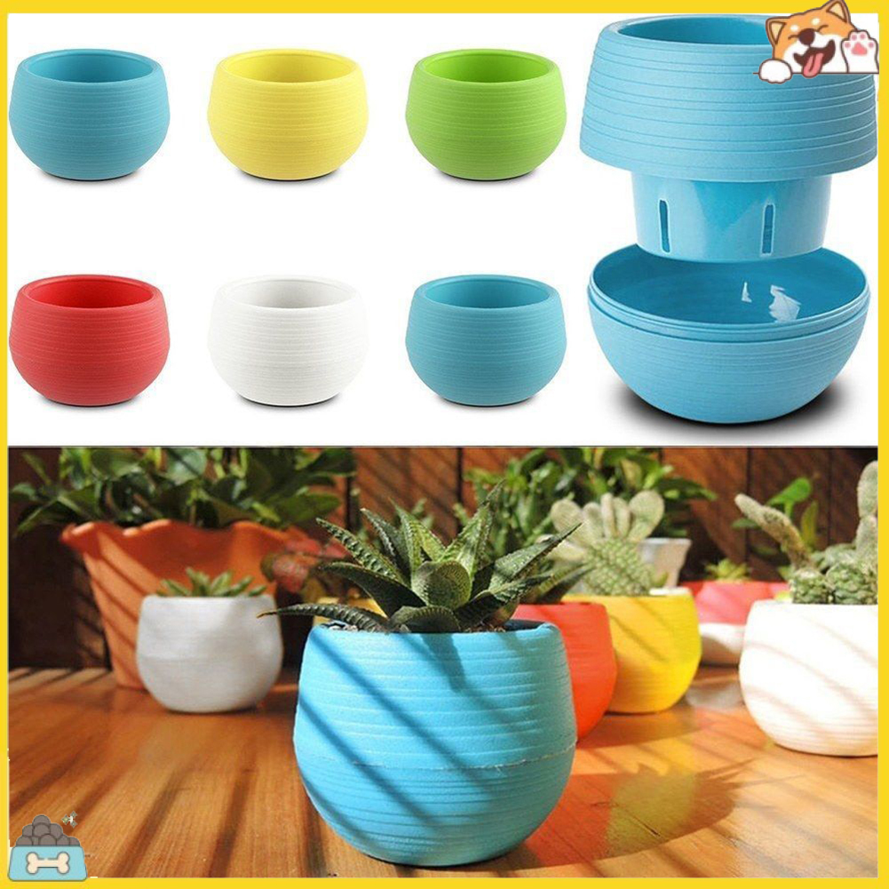 Chậu hoa nhỏ thiết kế sáng tạo dễ thương dùng để trang trí