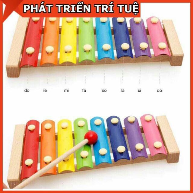 Đồ chơi đàn piano xylophone gỗ
