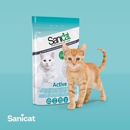 Cát vệ sinh cho mèo dạng sỏi Sanicat Active 10L