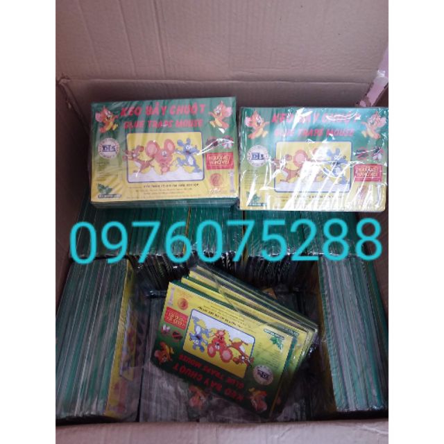 Keo dính chuột 20 miếng bên trong có sẵn mồi nhử (Rẻ Vô Địch)