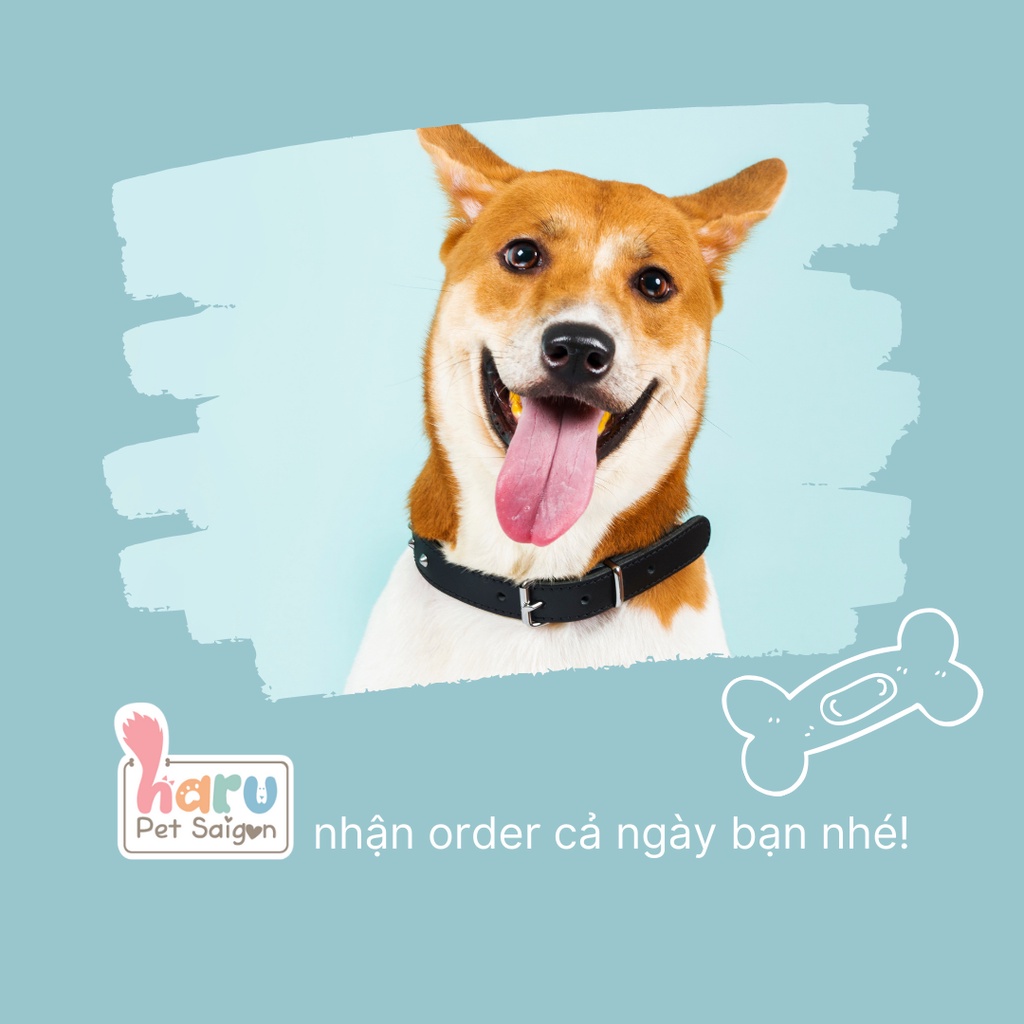 550g Pate tươi cho CHÓ nhiều vị (Q. Phú Nhuận)