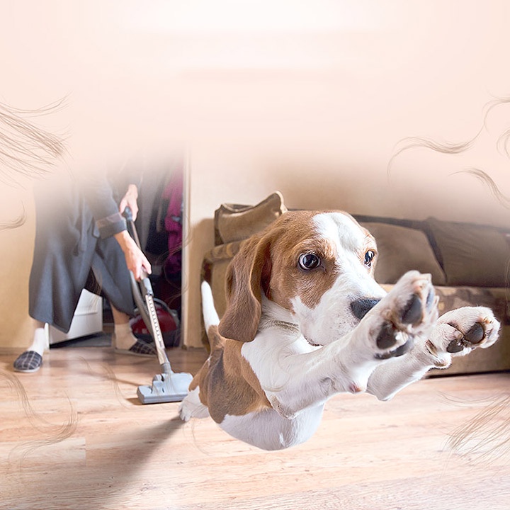 Máy hút bụi gia đình YILI 12L, hút bụi công nghiệp siêu khỏe, nội thất ô tô 1200W