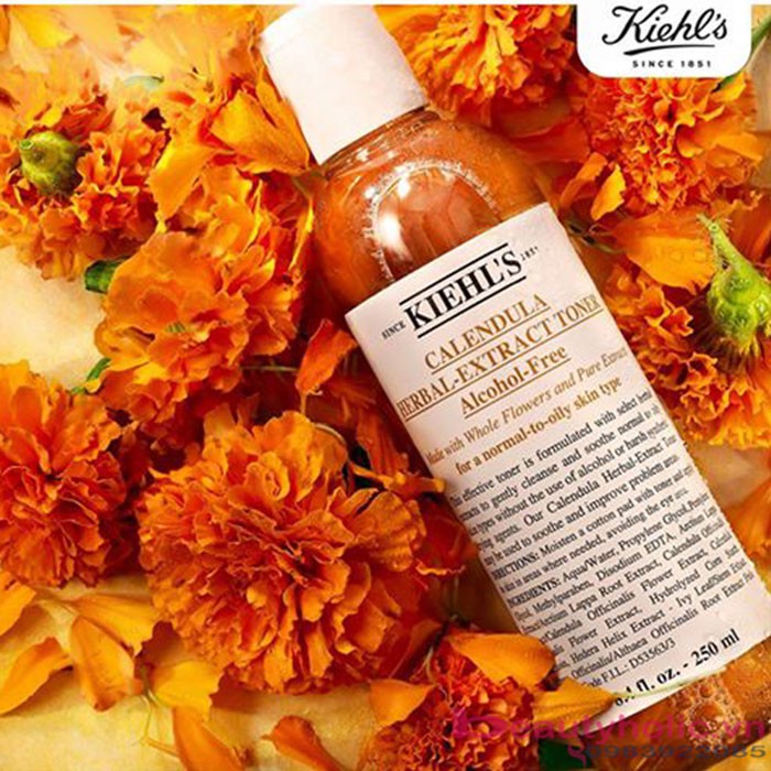 [Mã COS1904 giảm 8% đơn 300K] [ Fullsize 125ml/ 250ml/ 500ml ] Toner Hoa Cúc Calendula Herbal Extract Alcohol-Free Toner