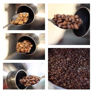 Cà phê sạch (Thành phần hạt Moka + Chồn + Culi)