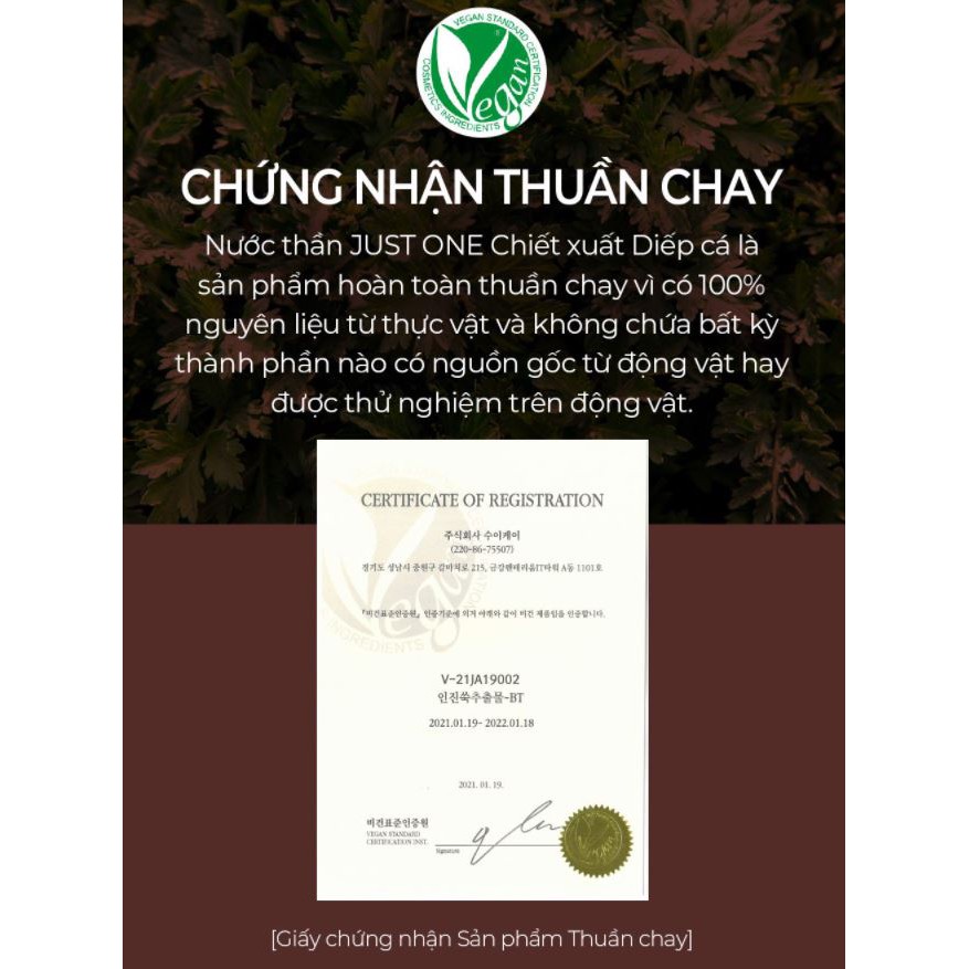 “Nước Thần&quot; Nước Hoa Hồng Chiết Xuất Ngải Cứu 92,5% B.O.M Just One Artemisia Capillaris Extract 150ml