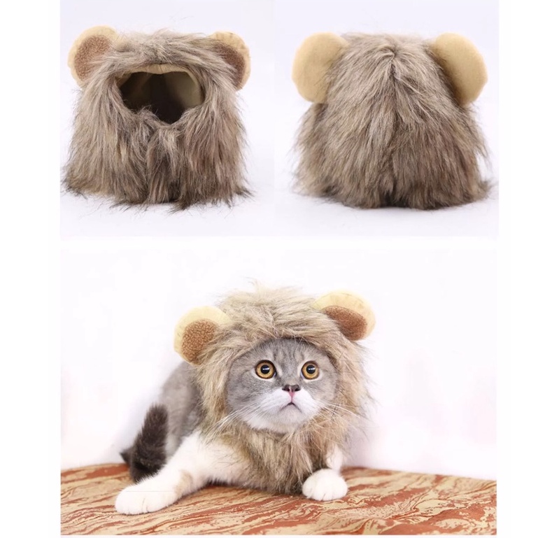 [Mã 44FMCGSALE1 giảm 10% đơn 250K] Mũ cho chó mèo cosplay sư tử - Nón hoá trang cho thú cưng siêu ngầu