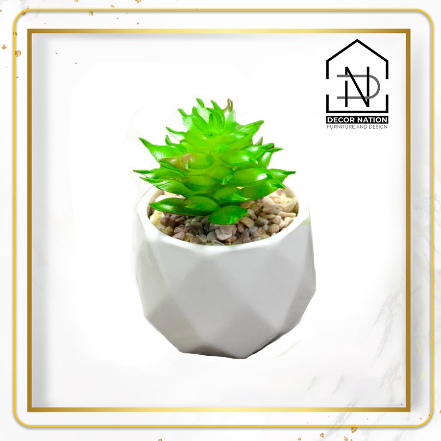 Cây Sen Đá giả mini mọng nước tặng kèm chậu Ceramic trắng có sỏi (mẫu 5)