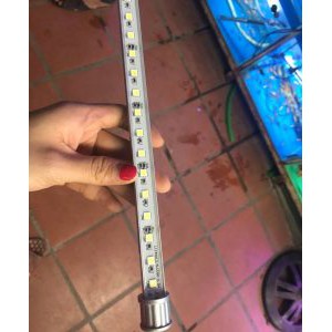 Đèn Aquazonic Led Tanning Lighting