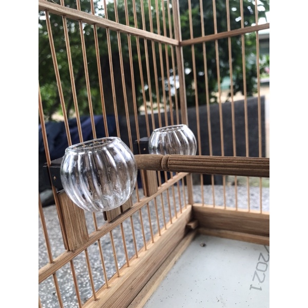 Cóng thuỷ tinh sọc dày tai mun dành cho khuyên, sâu đầu đỏ, hút mật