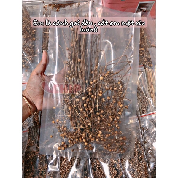 Ngũ cốc nguyên cành