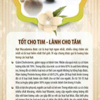 Hạt macca tốt cho bà bầu
