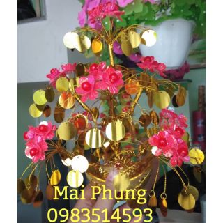 Chậu cành vàng lá ngọc 8 nhánh