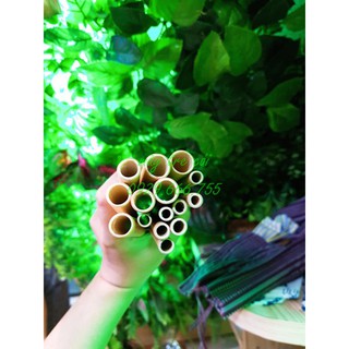 Ống hút tre loại đặc biệt (Một cái)