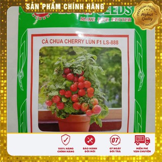 Hạt giống cà chua bonsai đỏ lucky seeds
