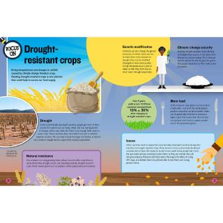 Overpopulation (Ecographics)