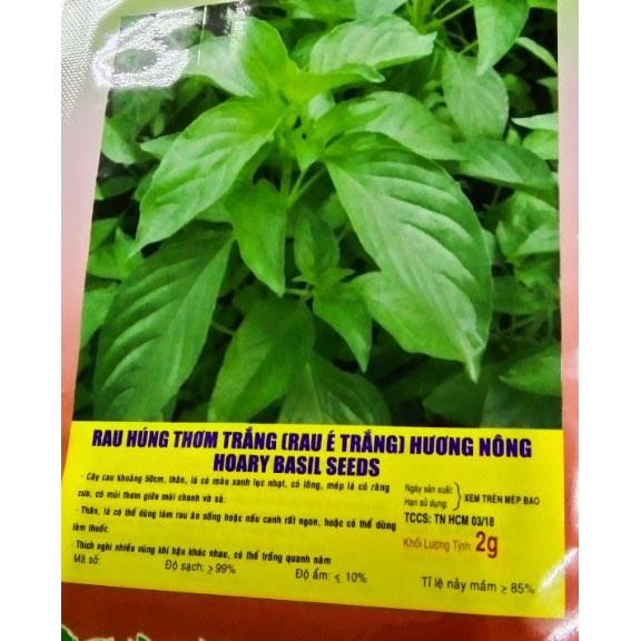 Hạt Giống Rau Húng Thơm Rau É Trắng - Gói 2 Gram