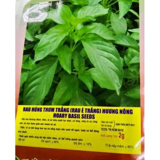 Hạt giống rau húng thơm rau é trắng - gói 2 gram