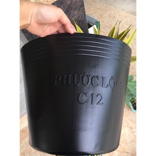 Chậu nhựa đen 33cmx27cm