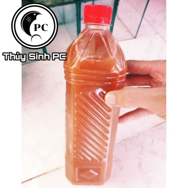 Chai 1000ml Vi khuẩn quang hợp Psb làm trong nước xử lý phân cặn hồ cá