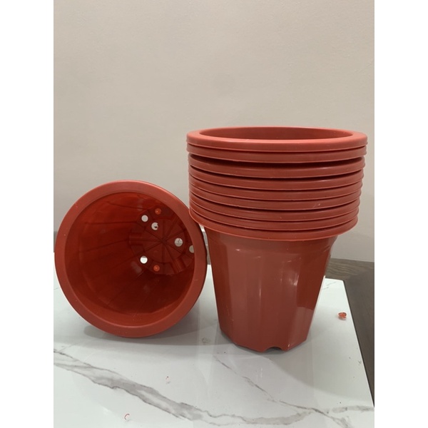 Chậu nhựa trồng ươm cây E230  màu nâu hàng loại 1 dày đẹp