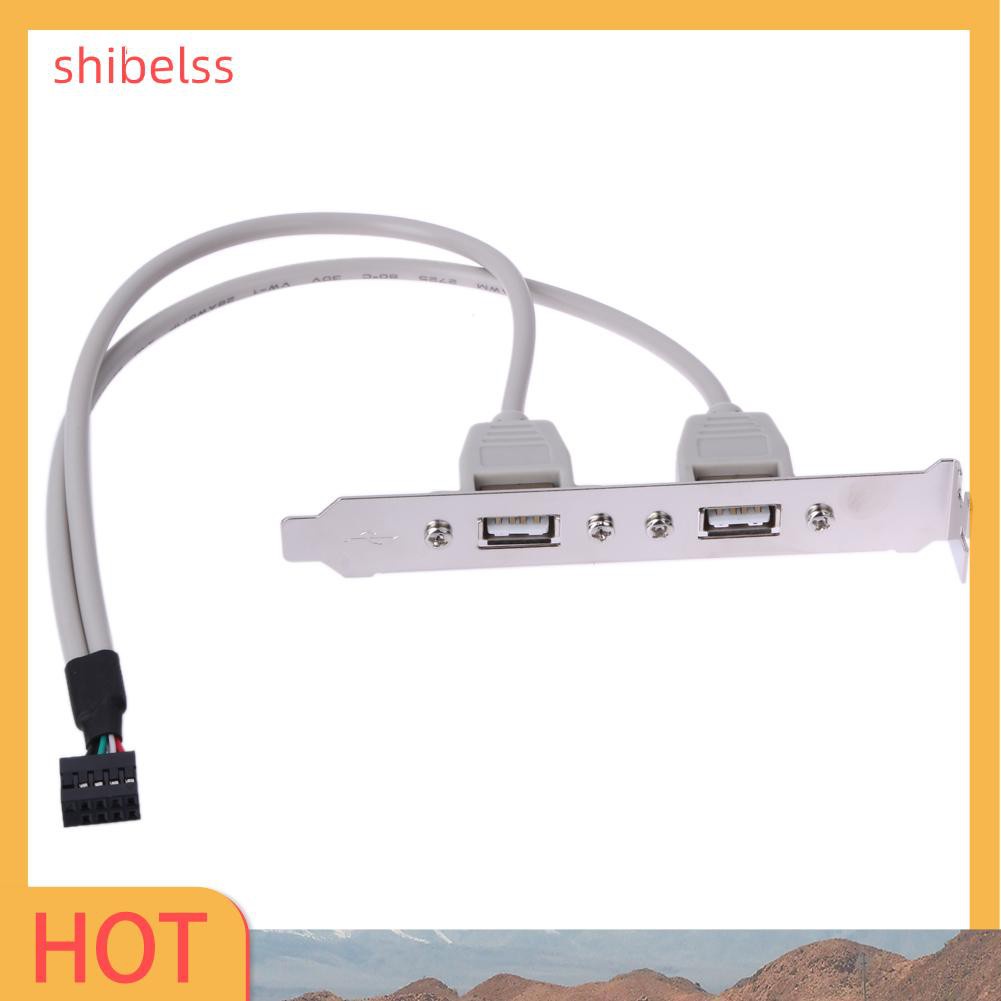 Cáp Nối Bo Mạch Chủ 2 Cổng Usb 2.0 Shibelss