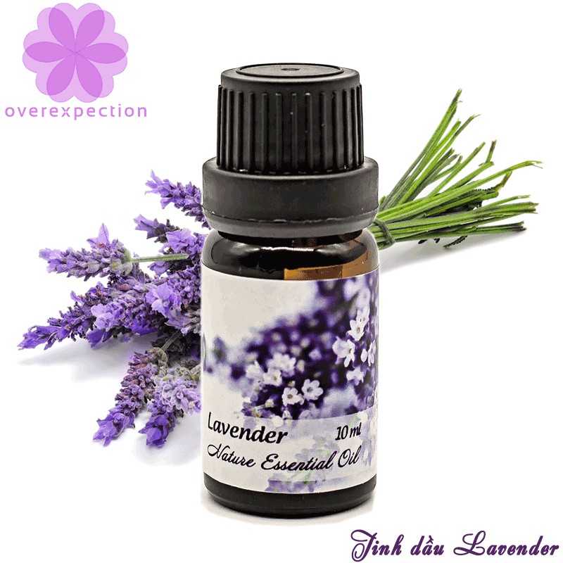 Tinh dầu oải hương CELLIGHT 8 - Lavender Essential Oil 10ml | BigBuy360 - bigbuy360.vn