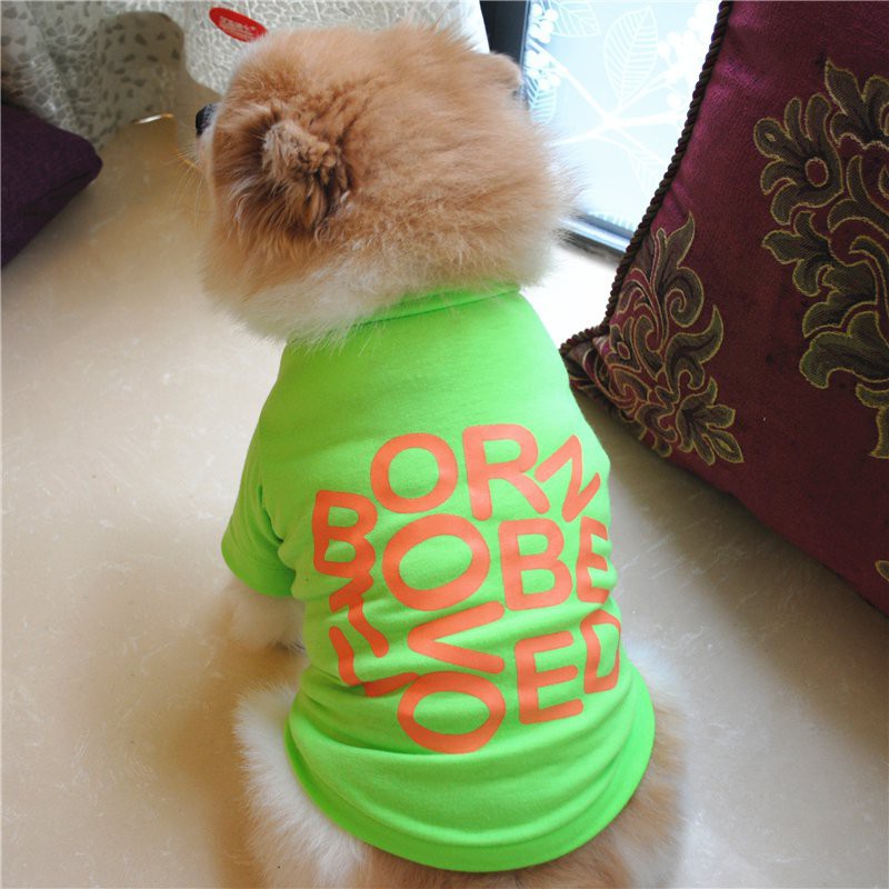 Áo cotton in chữ thoải mái cho thú cưng