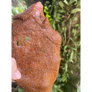 100gram ngũ hoa hạt nhỏ , hạt to