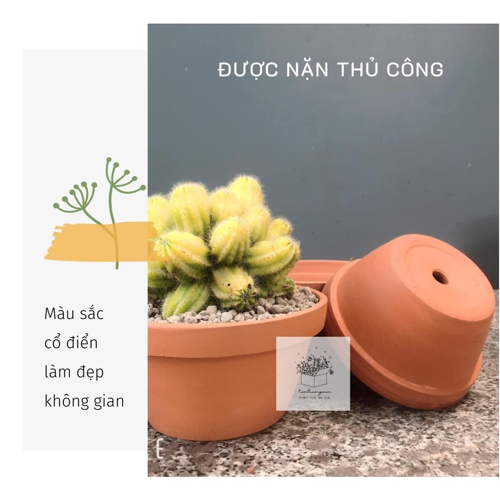 Chậu tiểu cảnh - Đất nung - Đường kính 13 cm - Sen đá xương rồng - Tiệm Thường Xuân