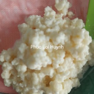 Nấm sữa kefir
