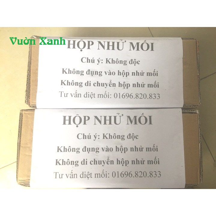 Hộp nhử mối