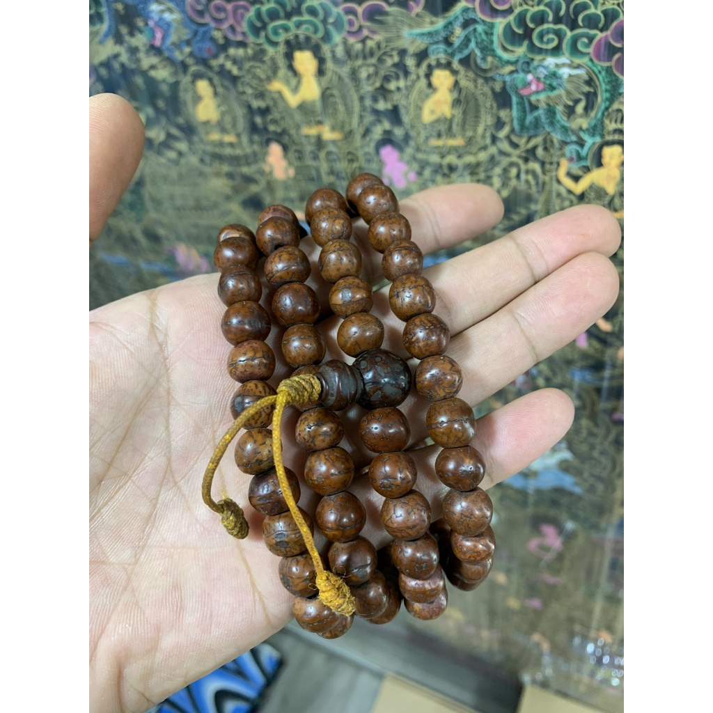 Bồ đề phật nhãn xuất xứ Nepal còn các size 10.5mm; 11mm và 12mm