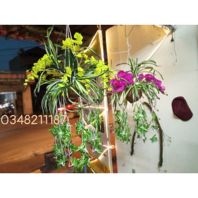 Cây Nhựa Giả - Cụm Rủ Tóc Tiên - Cụm Lá Rủ Trang Trí Nhà Cửa siêu đẹp.