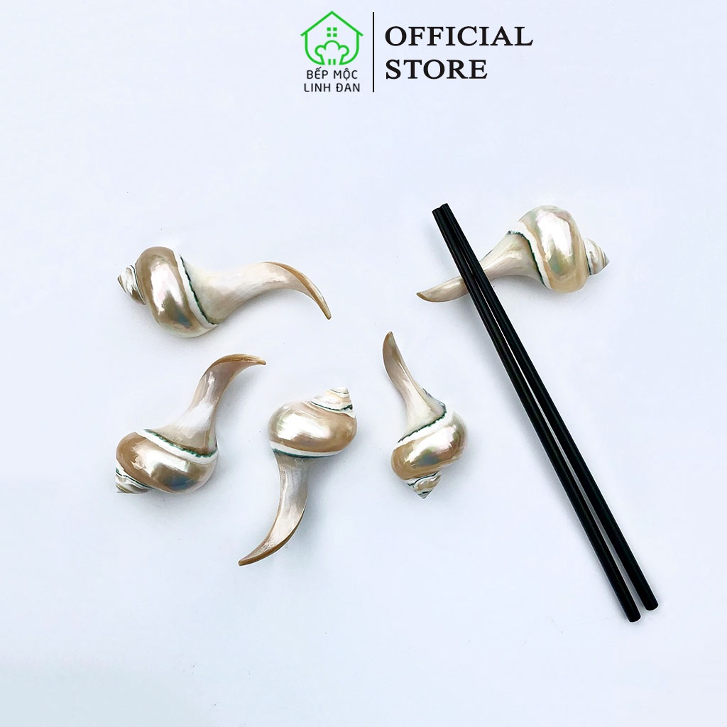 Gác Đũa Ốc Biển Cao Cấp HAHANCO - Nguyên Khối Độc Đáo (01 Chiếc) CTL748