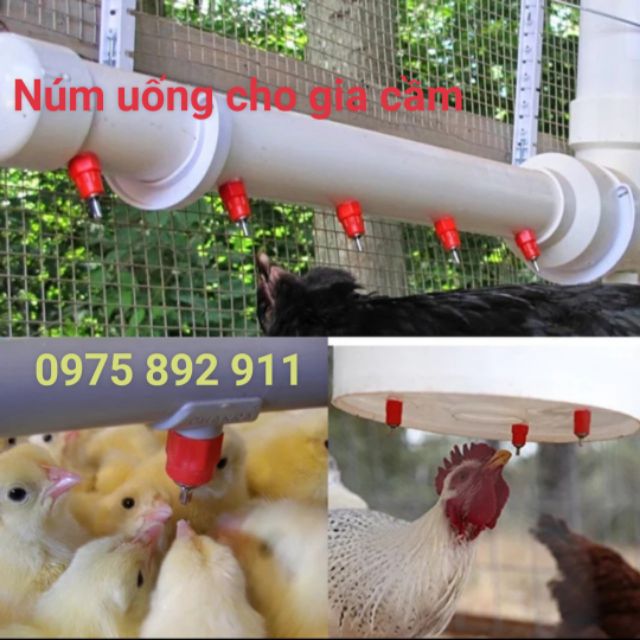 máng uống tự động cho gà , thỏ